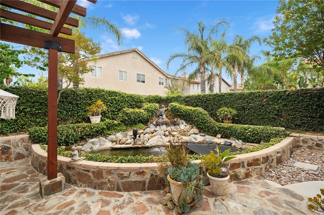 Photo of 26352 Palm Tree