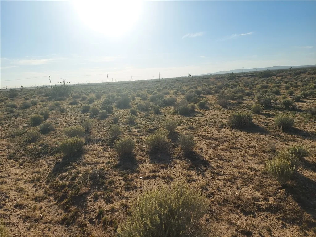 Photo of 0 Twenty Mule Team Rd #2
