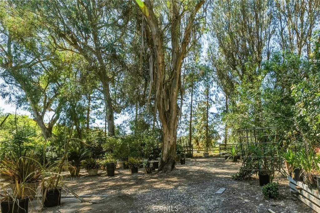 Photo of 14 Johns Canyon Road