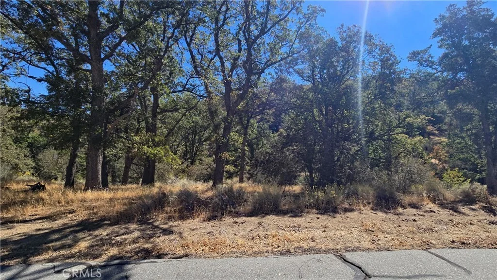 Photo of 0 Saint Moritz Drive