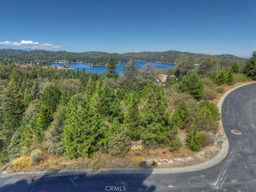 Photo of 202 Hidden Forest