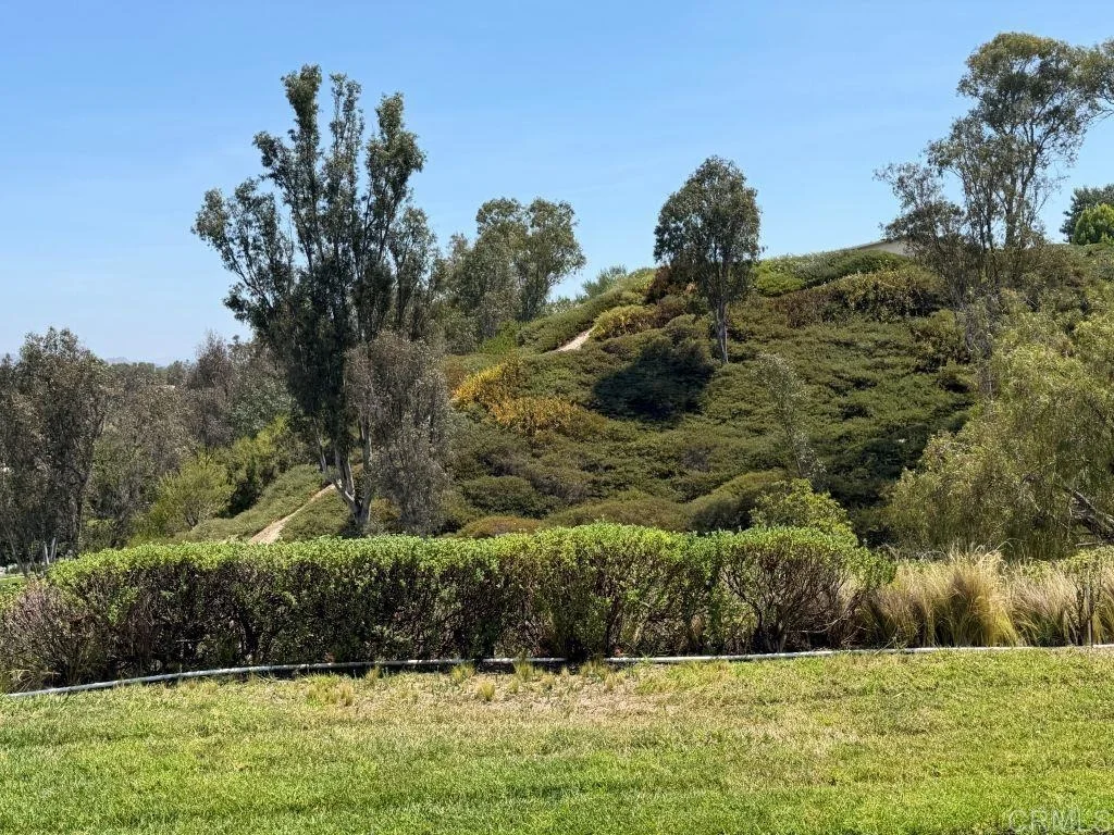 Photo of 4362 Dowitcher Way