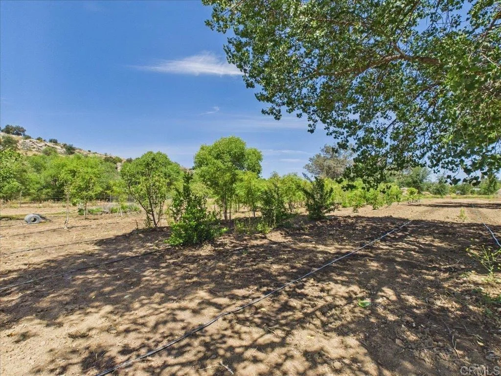 Photo of 385 Feghali Road