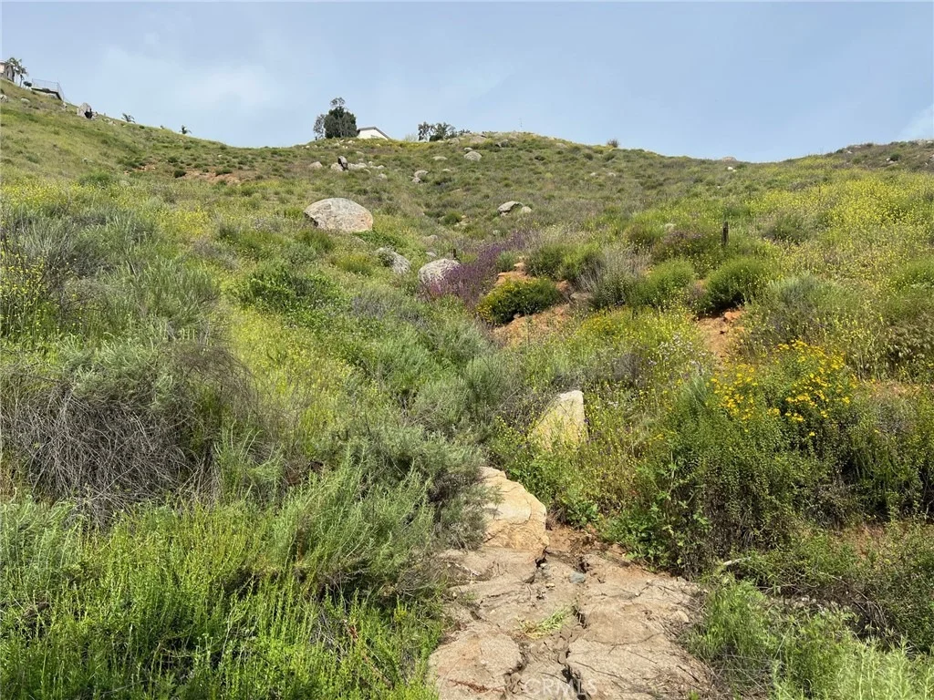 Photo of 2846 Willow Glen Drive