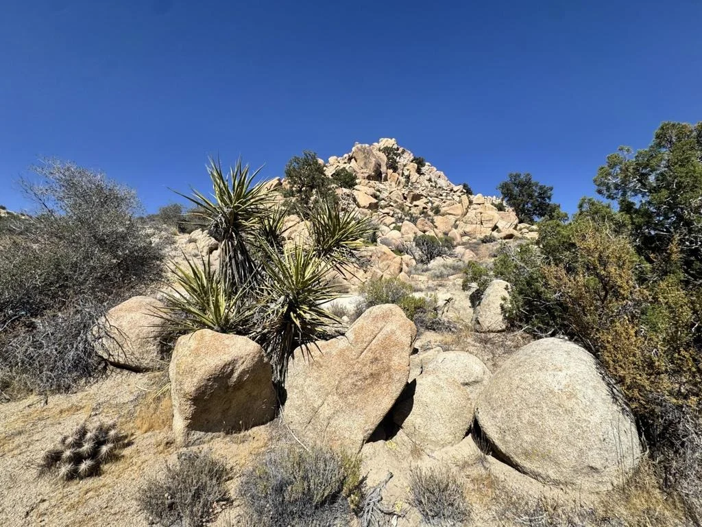 Photo of 5990 Acoma Trail