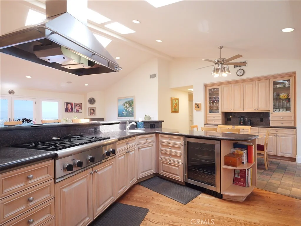 Photo of 49 Saddleback