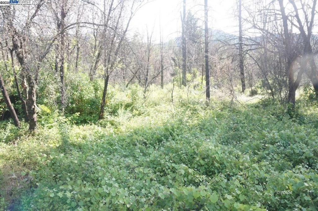 Photo of 101 River Acres