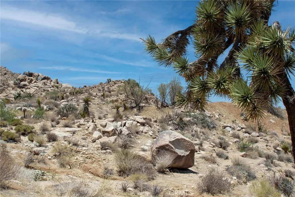 Photo of 60300 Mountain Trail