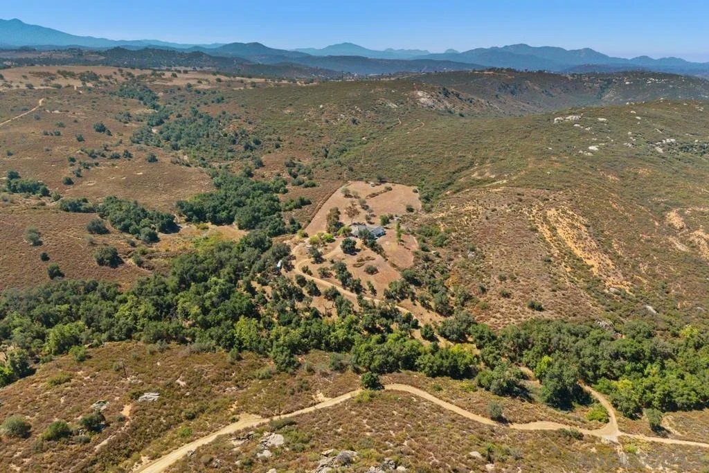 Photo of 23895 Ladrido