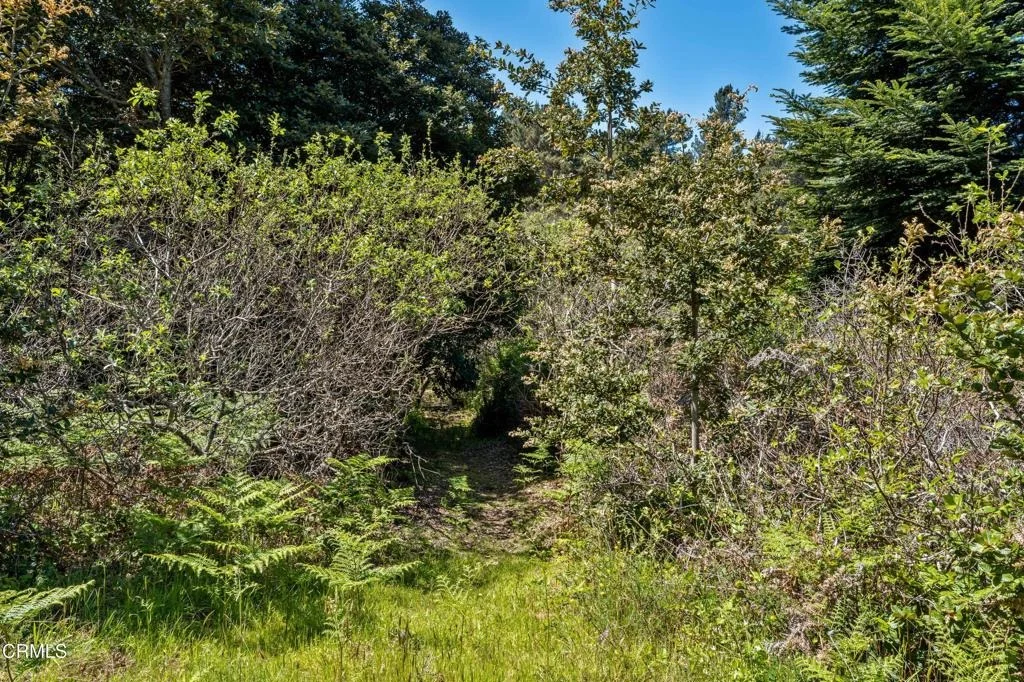 Photo of 26950 California 1