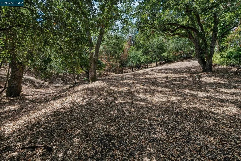 Photo of Ridge Road