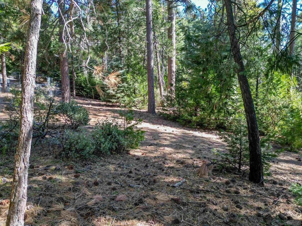 Photo of 0 Laurel Trail