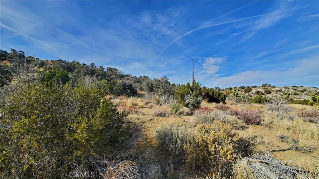 Photo of 0 Vicinity Ross Road E