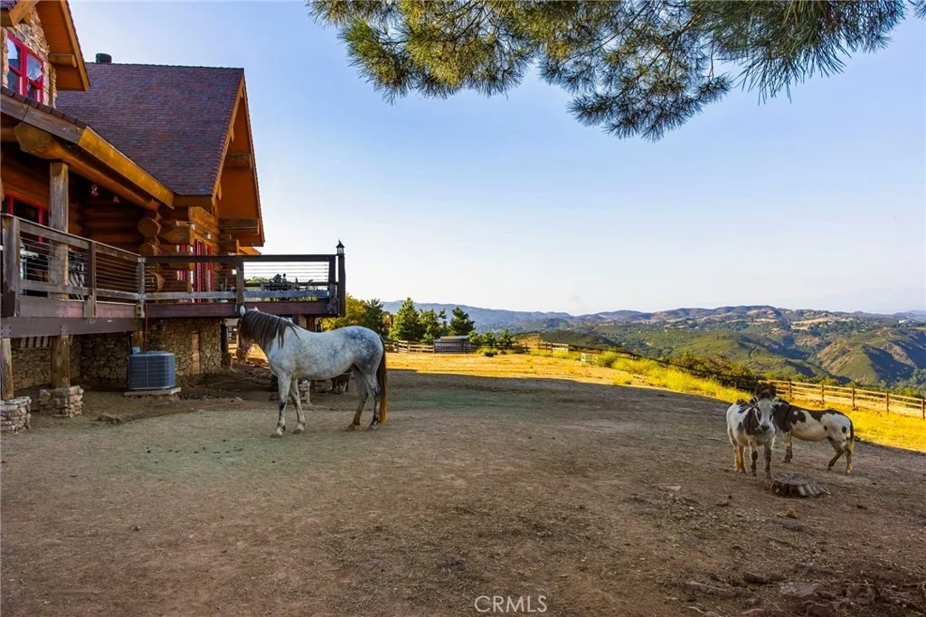 Photo of 43780 Paseo Espinazo