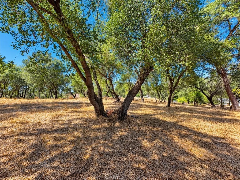 Photo of 450 Oakvale
