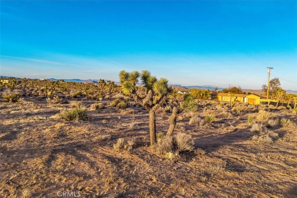 Photo of 57575 Campanula Street