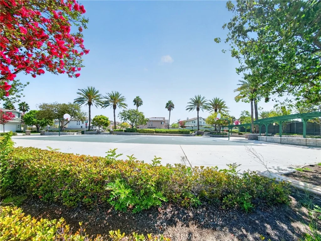 Photo of 1208 Date Palm