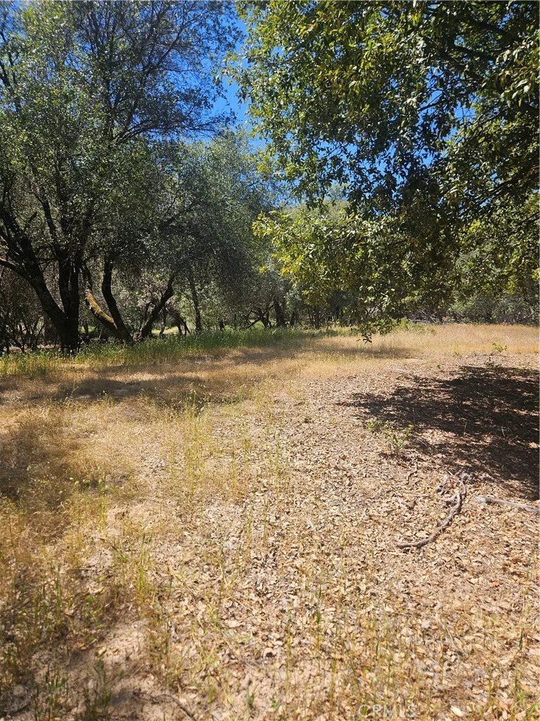 Photo of 1371 Moccasin Trail
