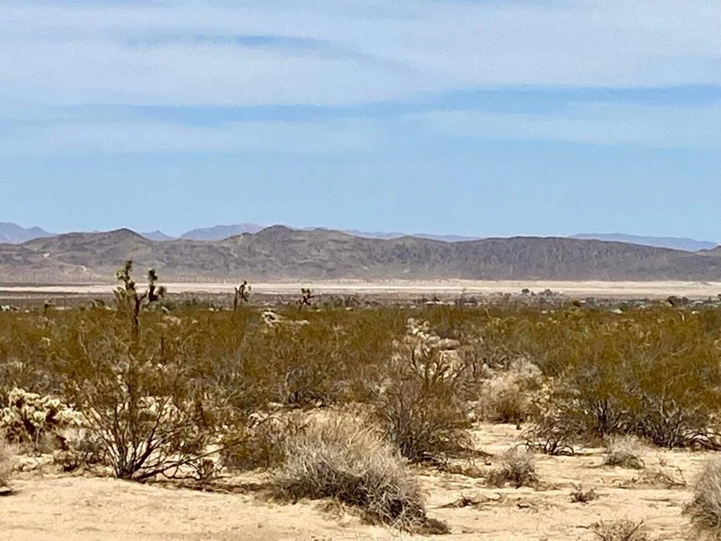 Photo of 117 Border Road