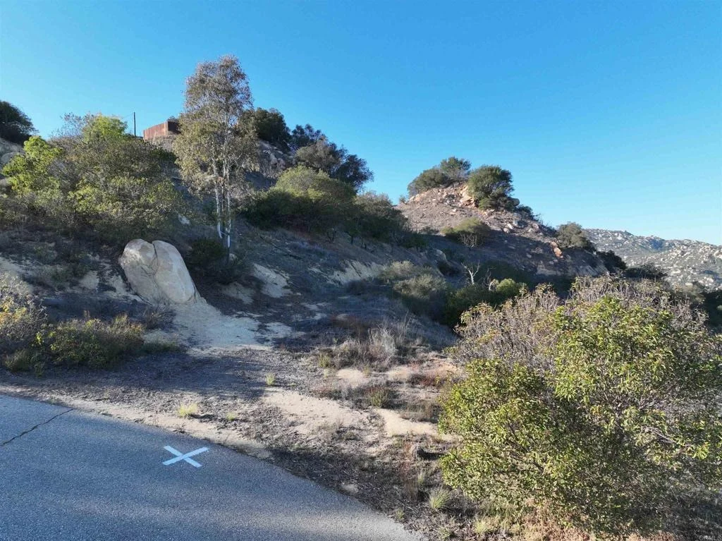 Photo of Rainbow Peaks Trail
