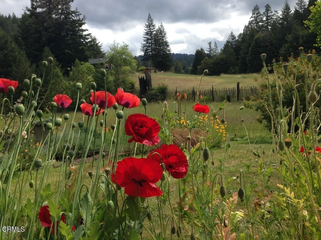 Photo of 31501 Comptche Ukiah Road
