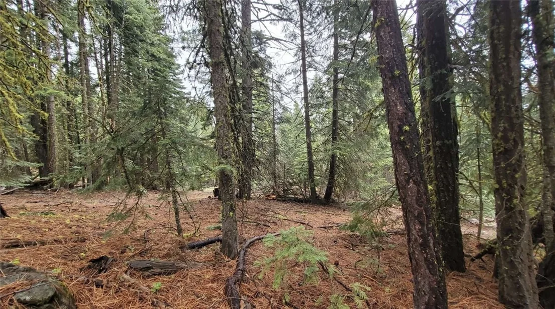 Photo of 0 Range Road