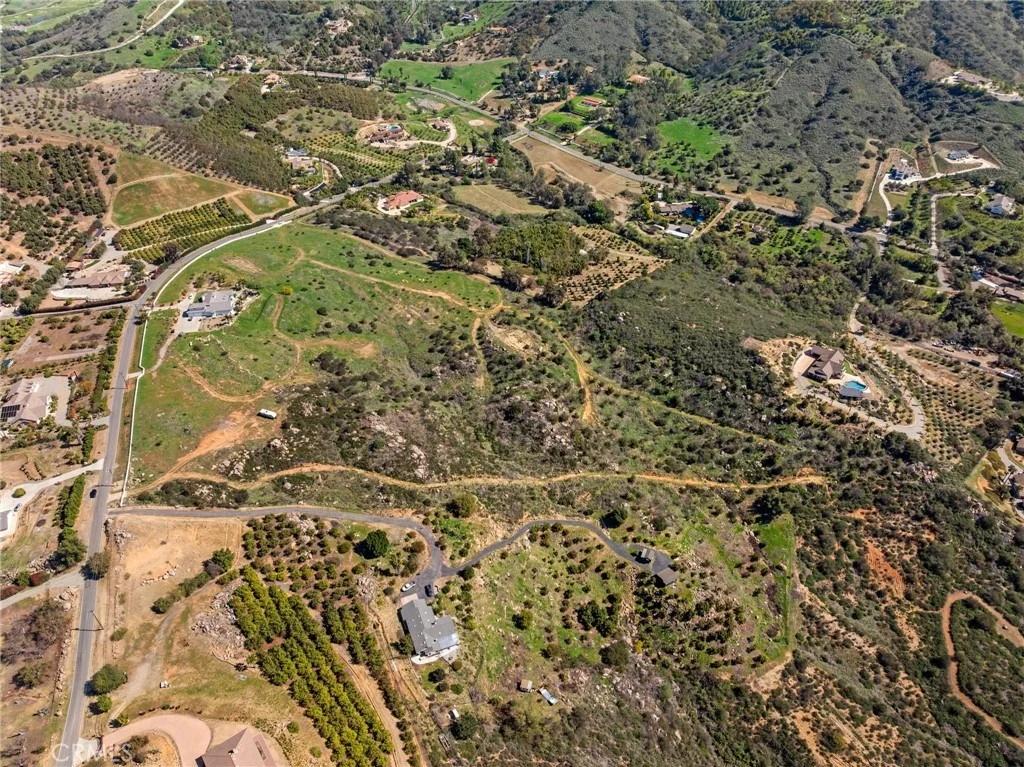Photo of 2 Las Palmeras