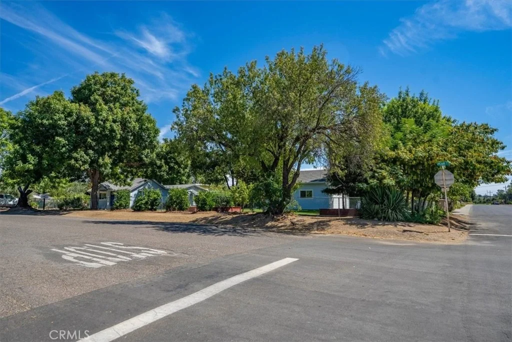 Photo of 1221 Pear