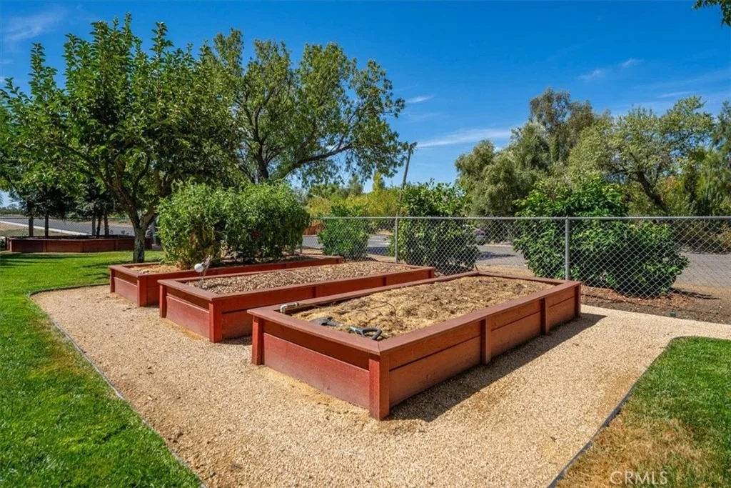 Photo of 1221 Pear