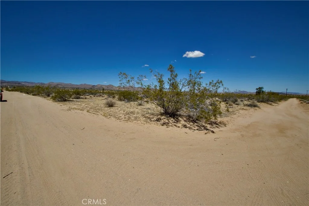 Photo of 888 Lucky Lane