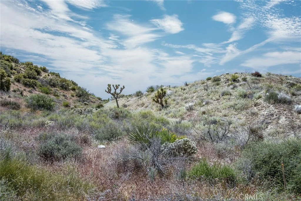 Photo of 54129 Pinon Drive