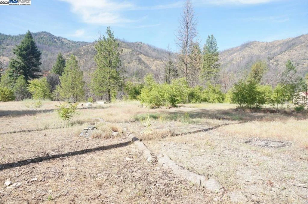 Photo of 101 River Acres