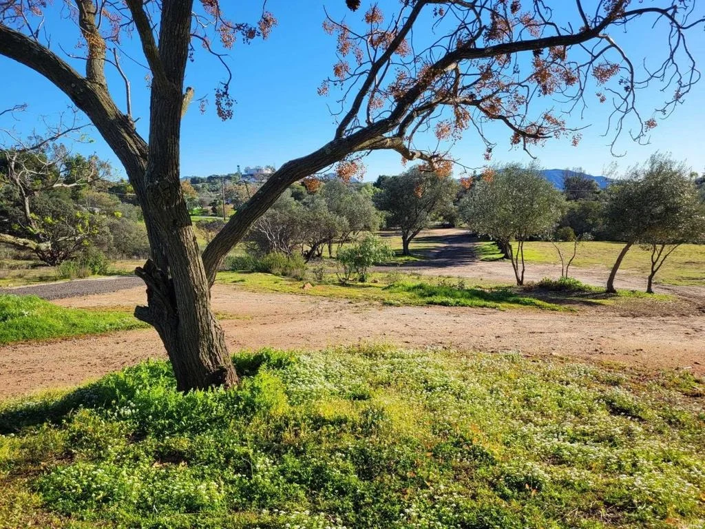 Photo of 616 Alpine Heights-20acres
