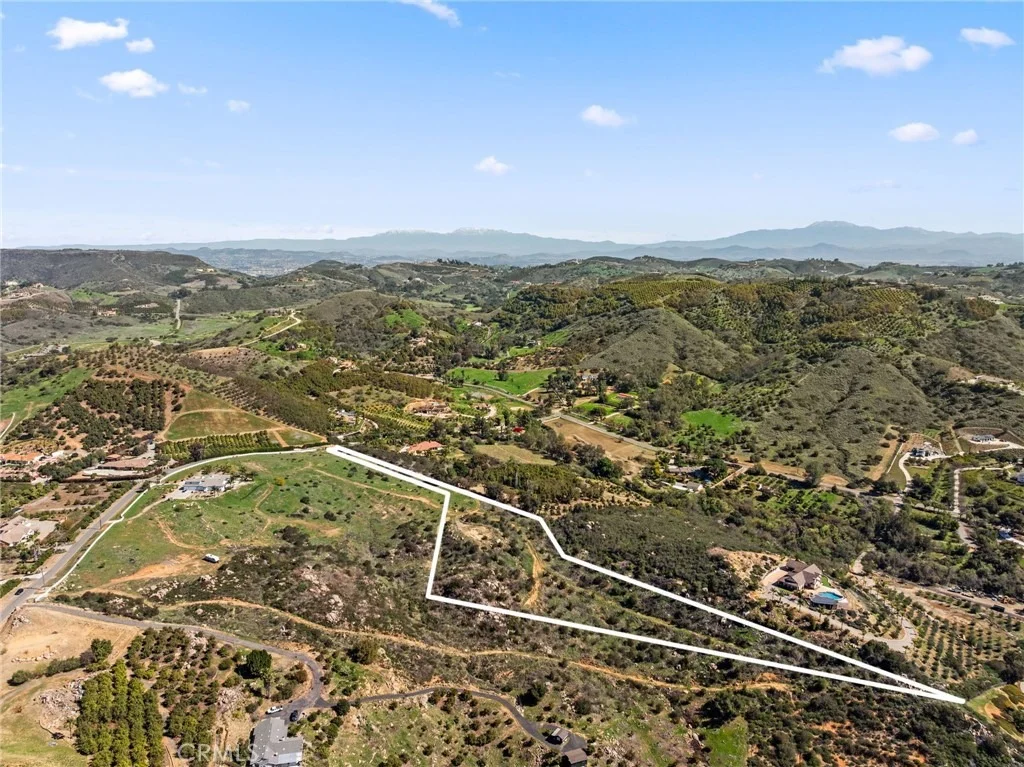 Photo of 2 Las Palmeras
