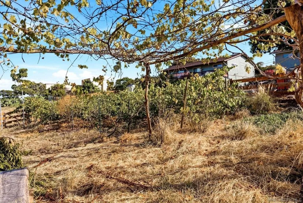 Photo of 161 Parnassus Circle