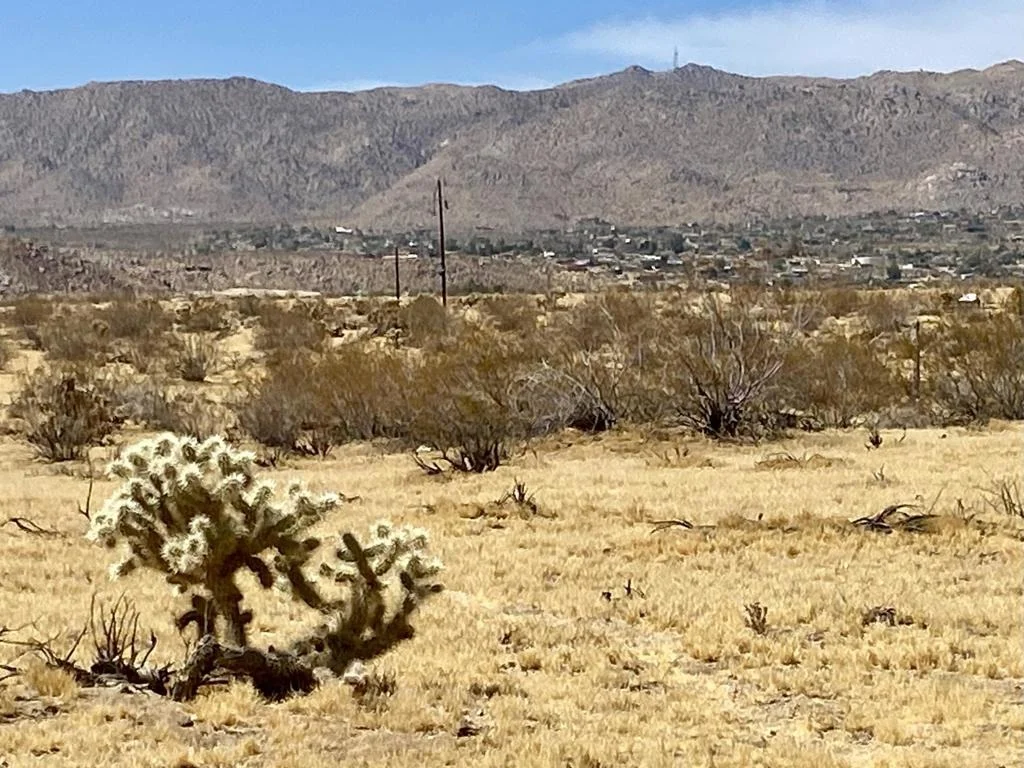 Photo of 62585 Two Mile Road