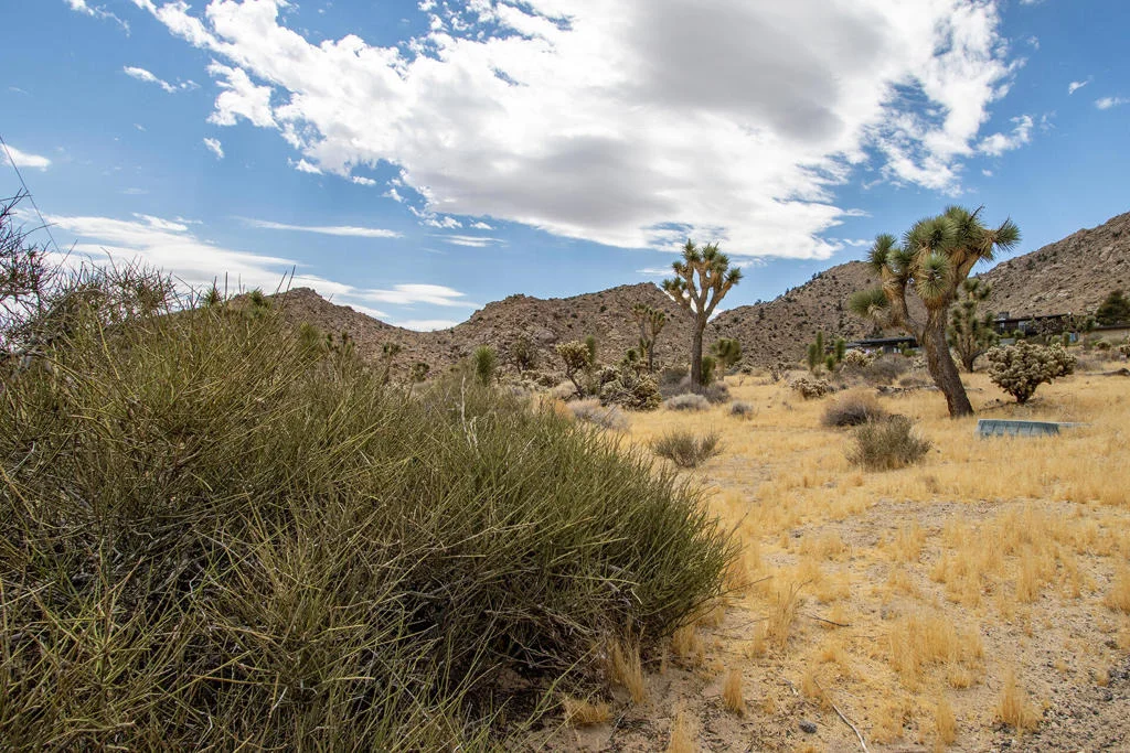 Photo of 8021 Wesley Road