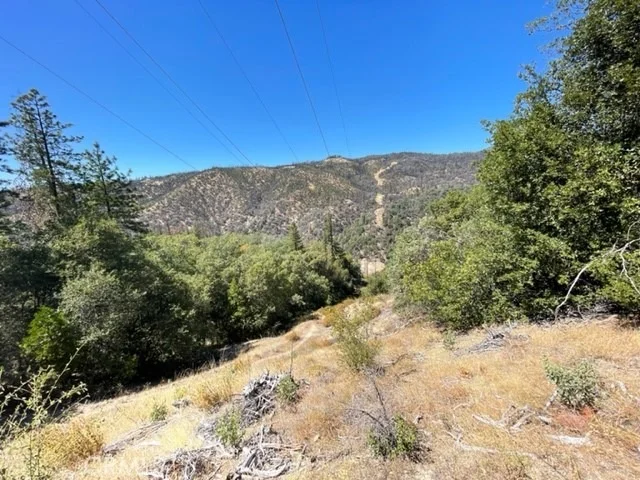 Photo of 10 Broken Springs