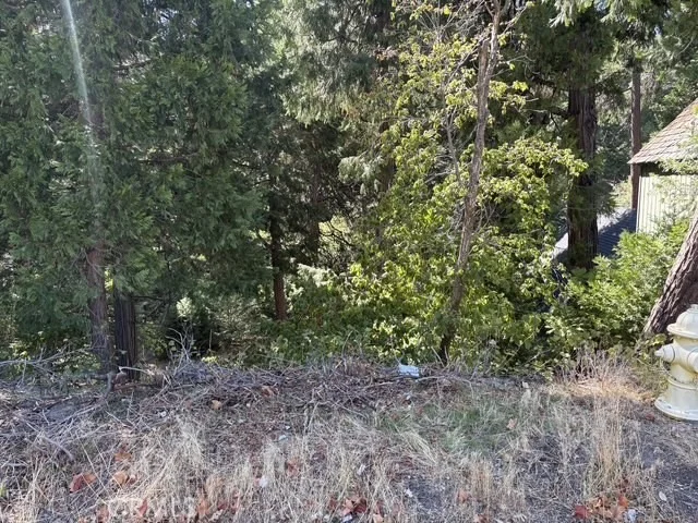 Photo of 27917 Squirrel Lane