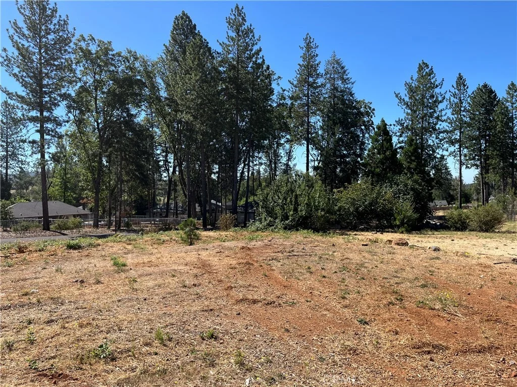 Photo of 9238 Skyway Road