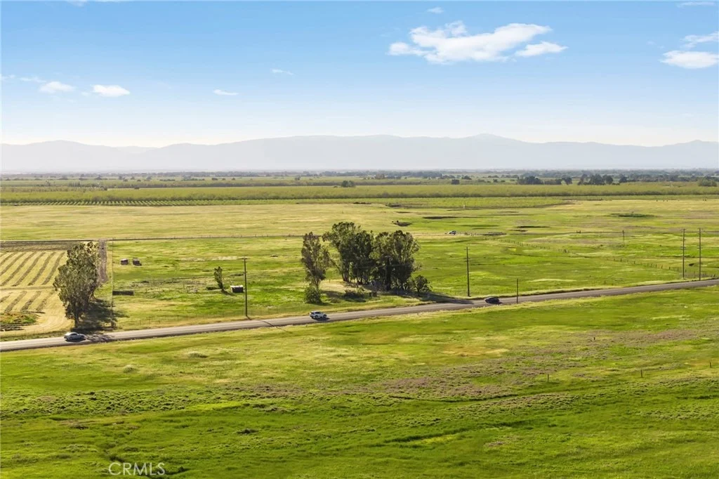 Photo of 15521 Ca-99