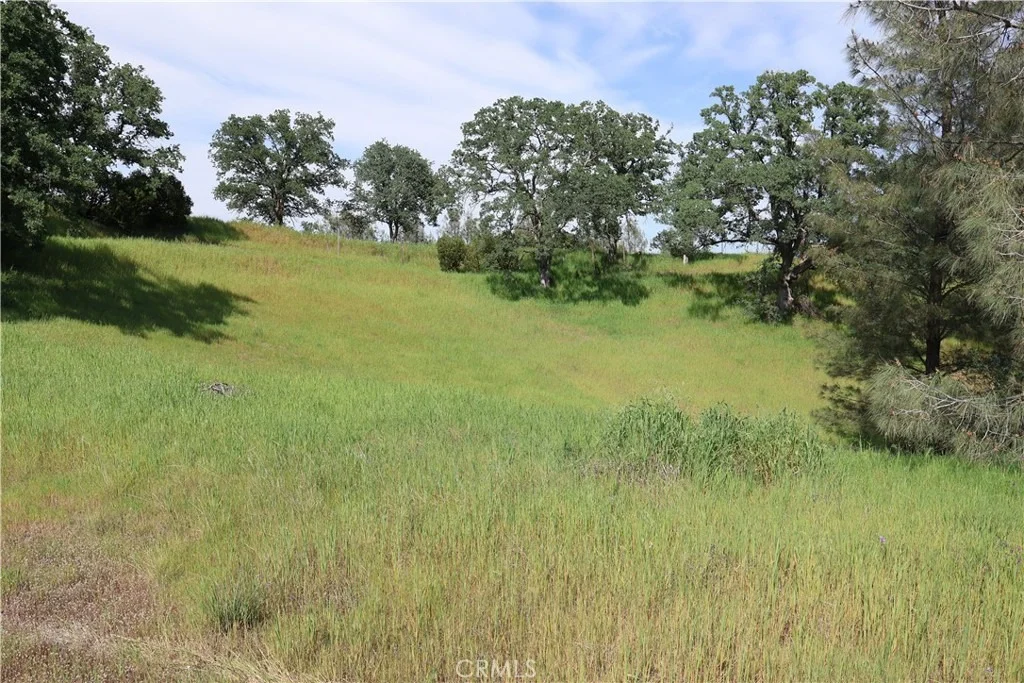 Photo of 7325 Bluebird Rd.
