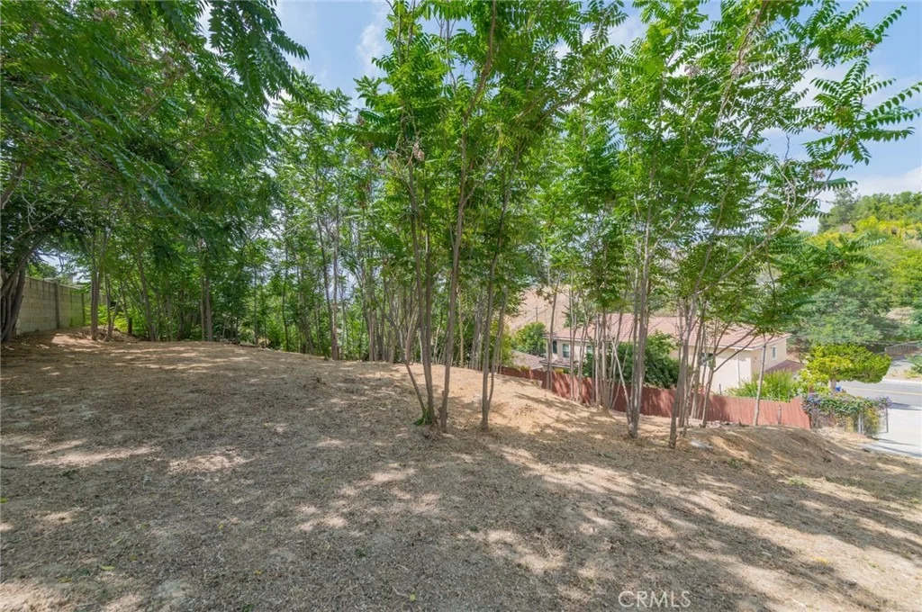 Photo of 420 Camino De Gloria