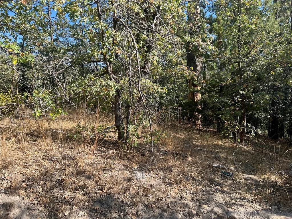 Photo of 0 Lone Pine Dr.