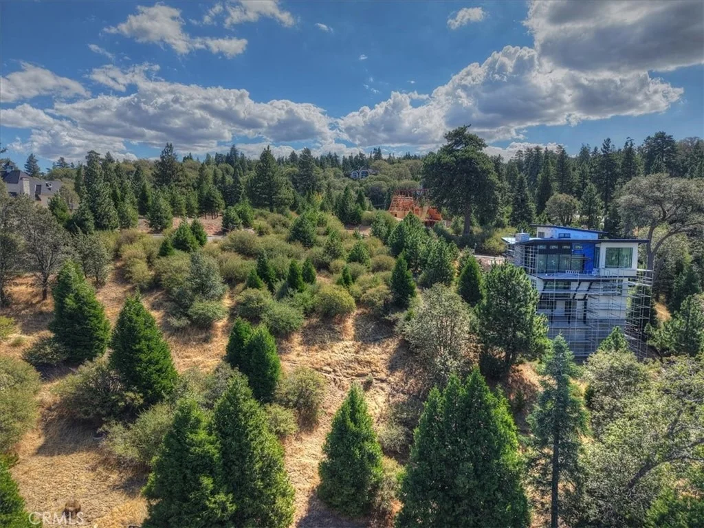 Photo of 202 Hidden Forest