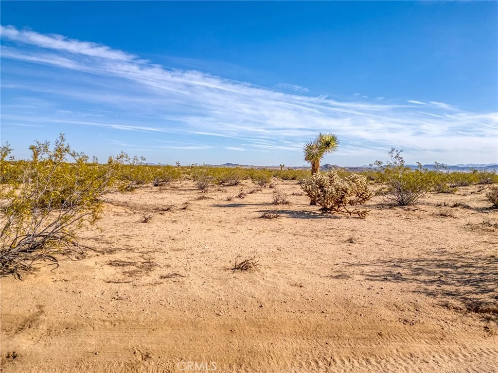 Photo of 62725 2 Mile Road