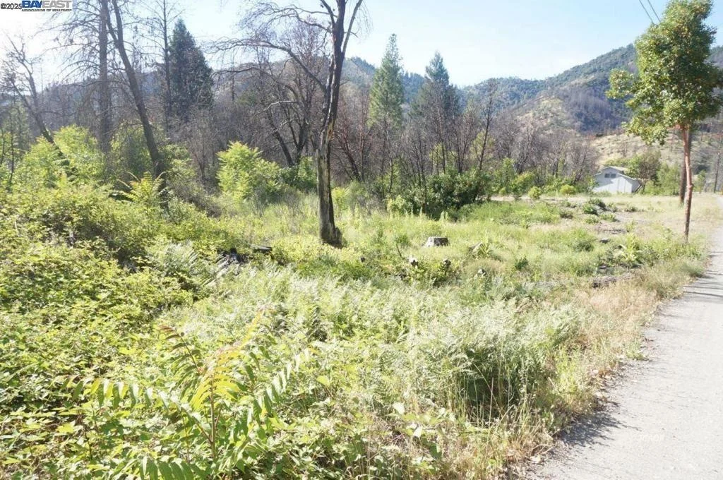 Photo of 101 River Acres