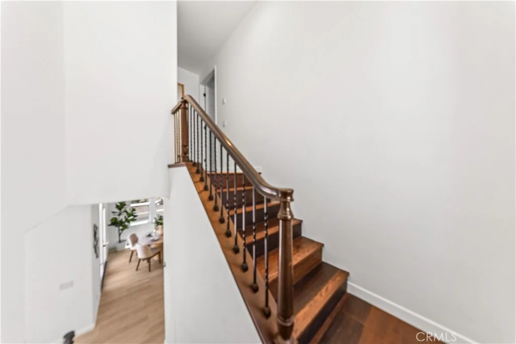 Photo of 97 Canopy
