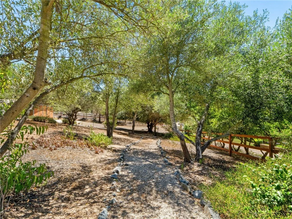 Photo of 2248 Mil Sorpresas
