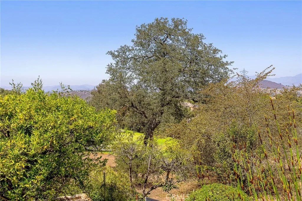 Photo of 10960 Treeside Lane